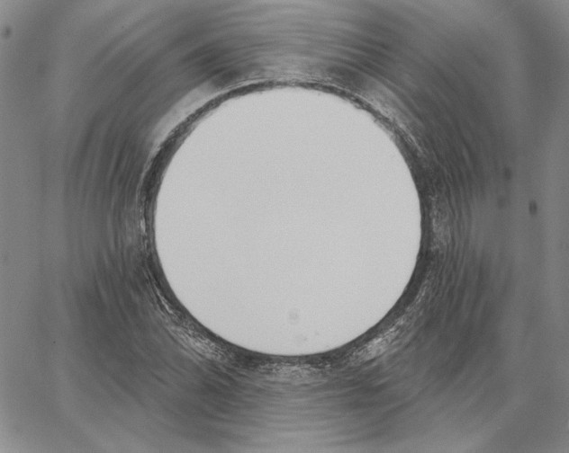 X0000062861070200602031646
