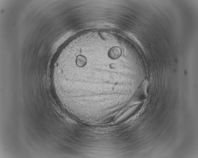 X0000062861071200602031646