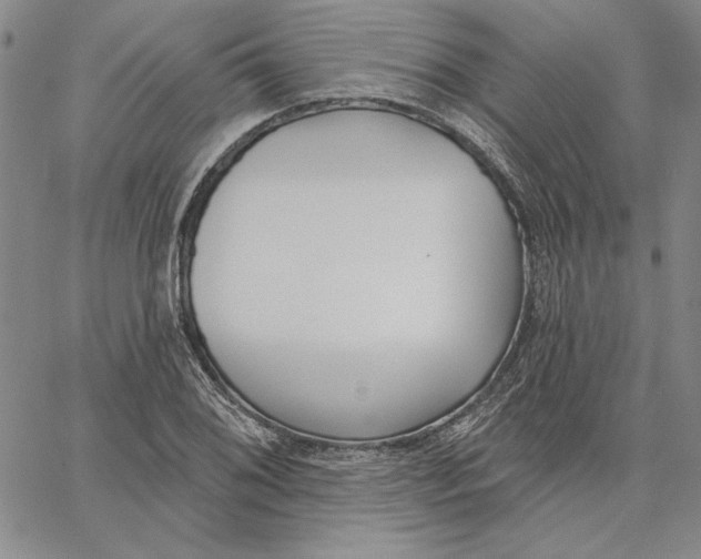 X0000062861076200602031646