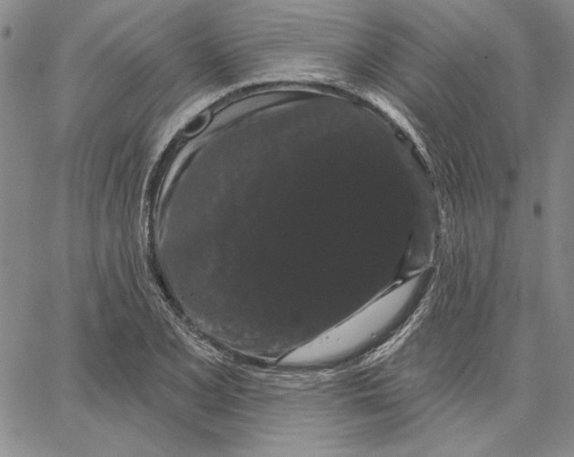 X0000062861077200602031646