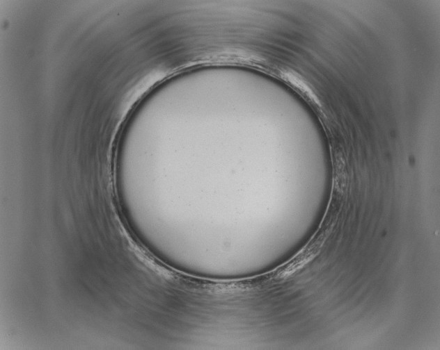 X0000062861087200602031646