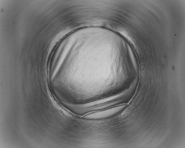 X0000062861088200602031646