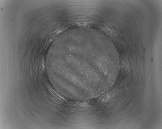 X0000062861106200602031645