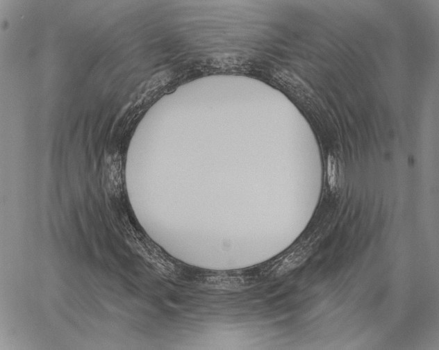 X0000062861107200602031645