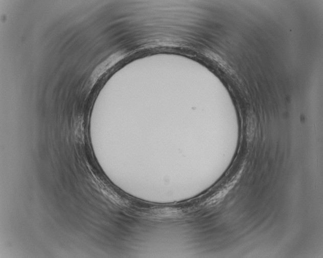 X0000062861113200602031645