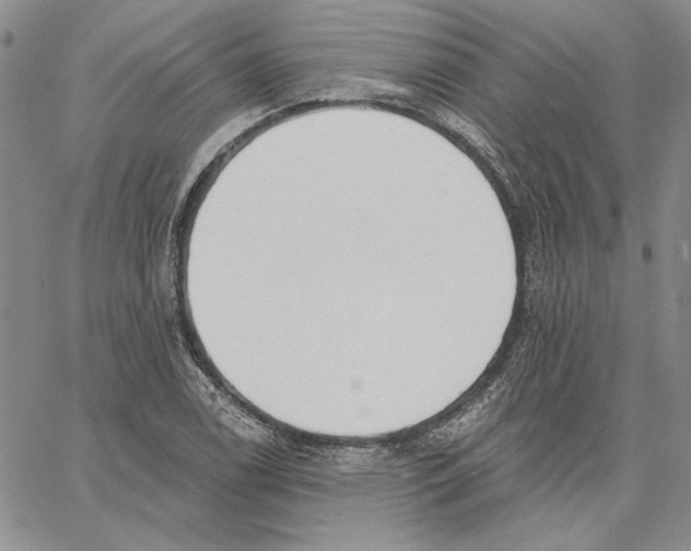 X0000062861122200602031645