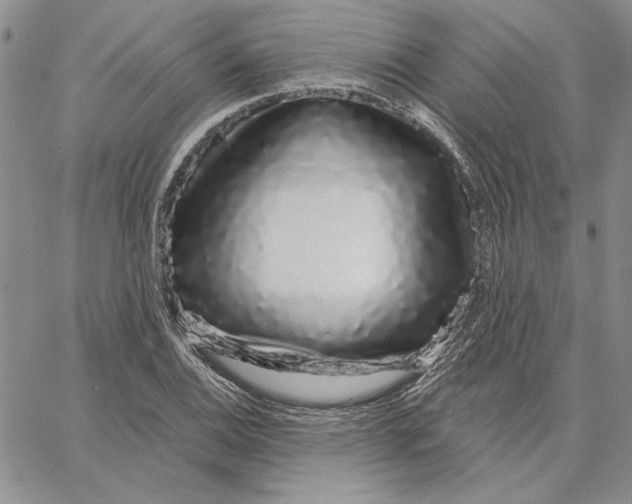X0000062861124200602031645