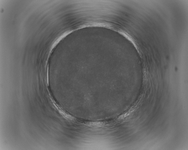 X0000062861127200602031645