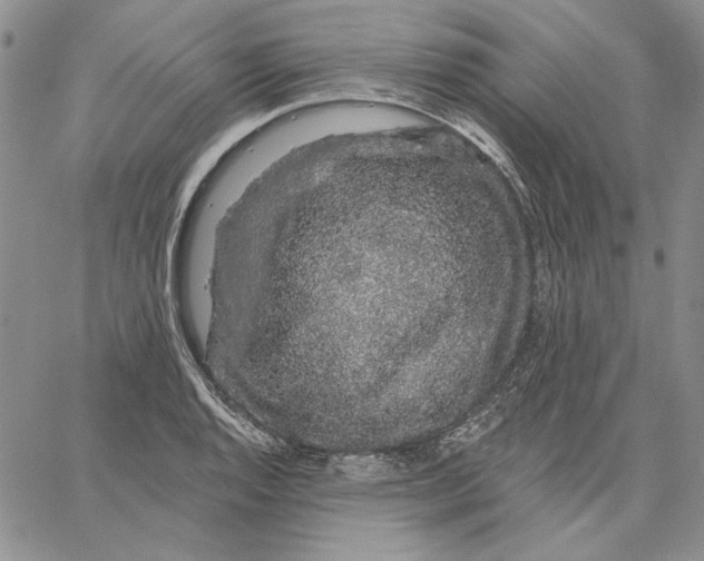 X0000062861128200602031645
