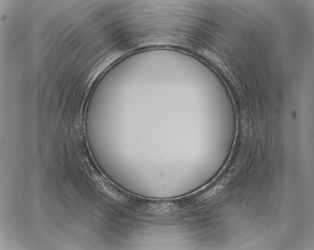 X0000062861129200602031645