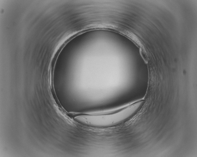 X0000062861132200602031645