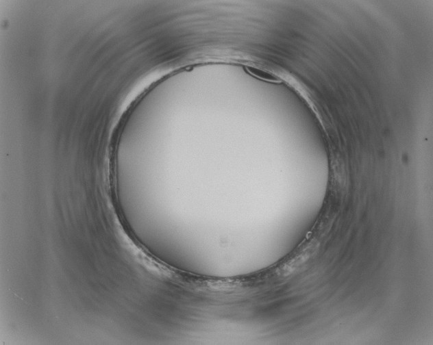 X0000062861147200602031645