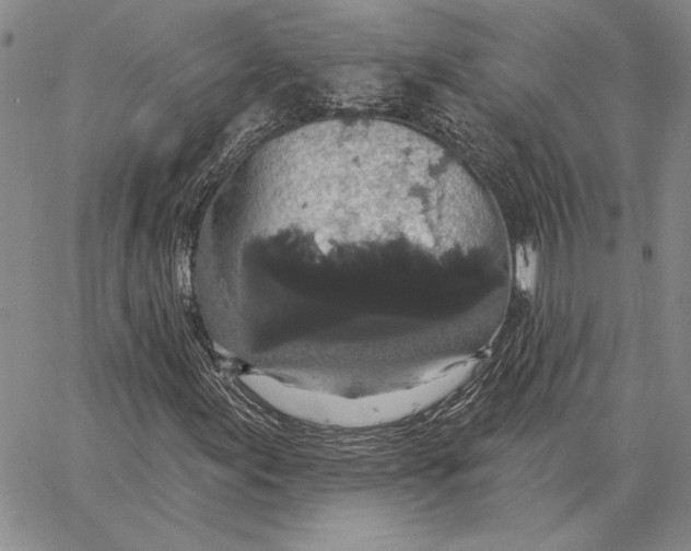 X0000062861155200602031645
