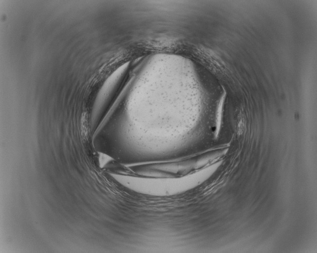 X0000062861156200602031645