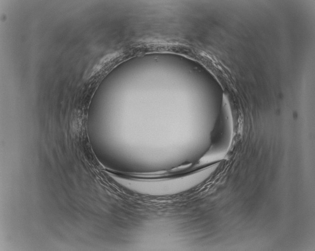 X0000062861157200602031645