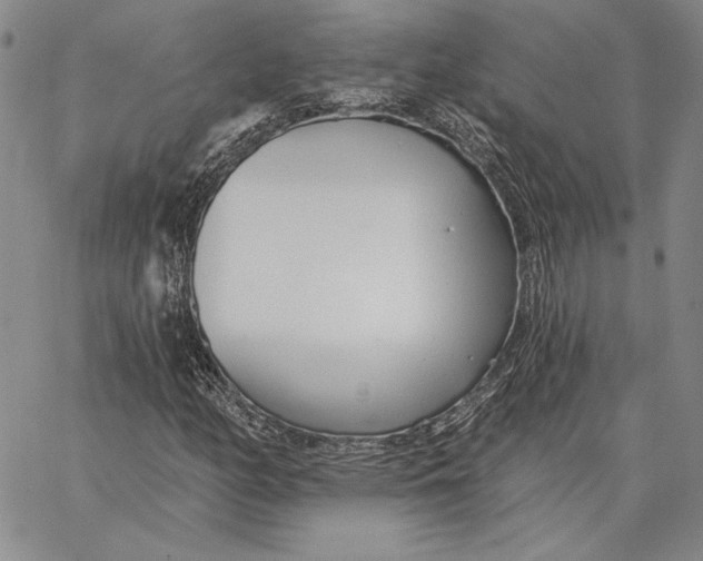 X0000062861158200602031645