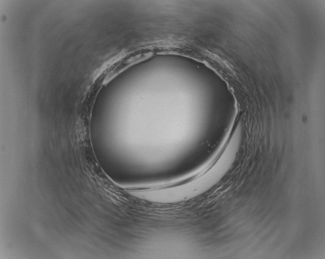 X0000062861160200602031644