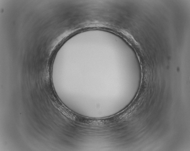 X0000062861167200602031644