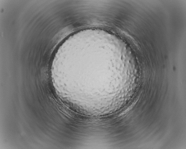 X0000062861170200602031644