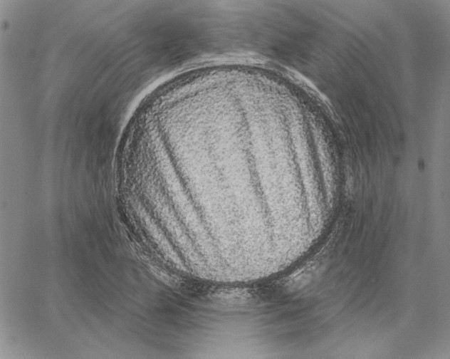 X0000062861174200602031644