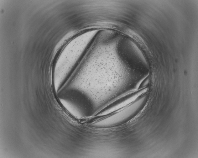 X0000062861180200602031644