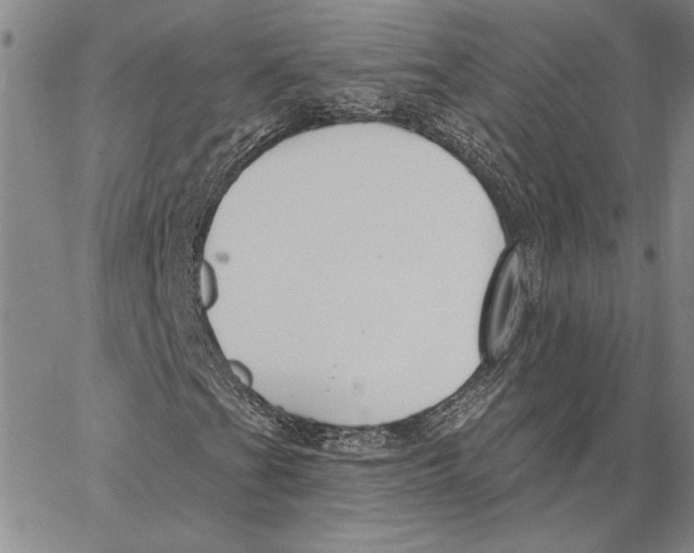 X0000062861201200602031643