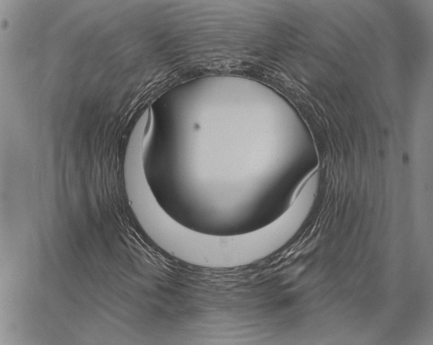 X0000062861202200602031643