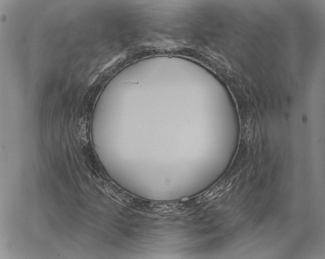 X0000062861205200602031643