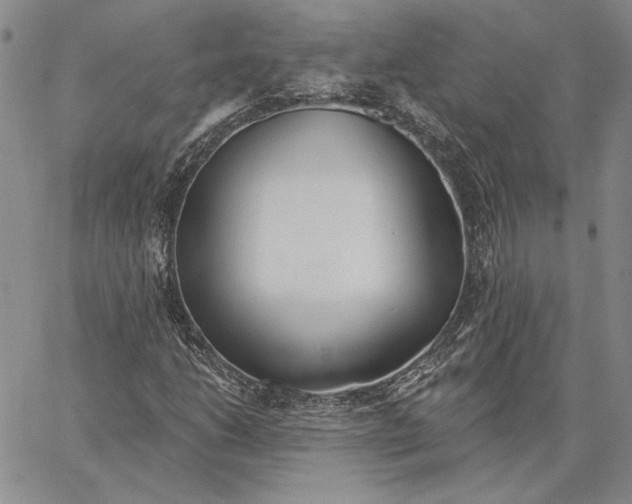 X0000062861206200602031643