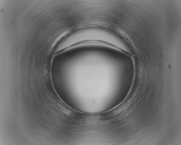 X0000062861210200602031643