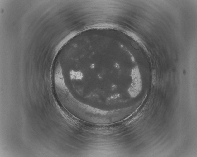 X0000062861229200602031644