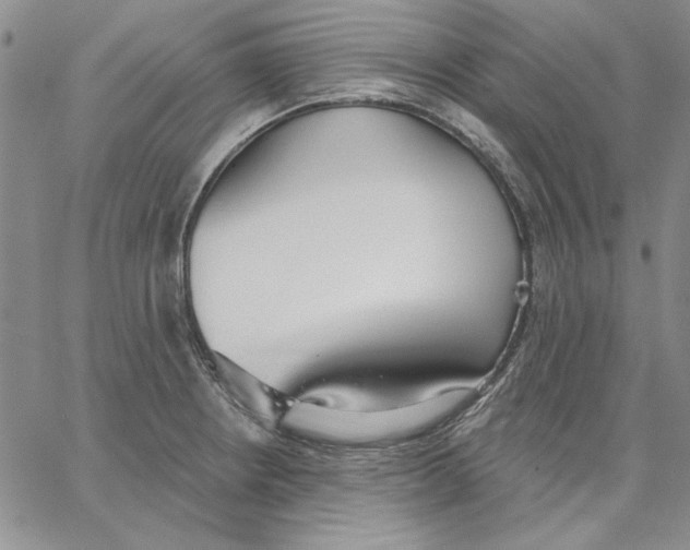 X0000062861234200602031644