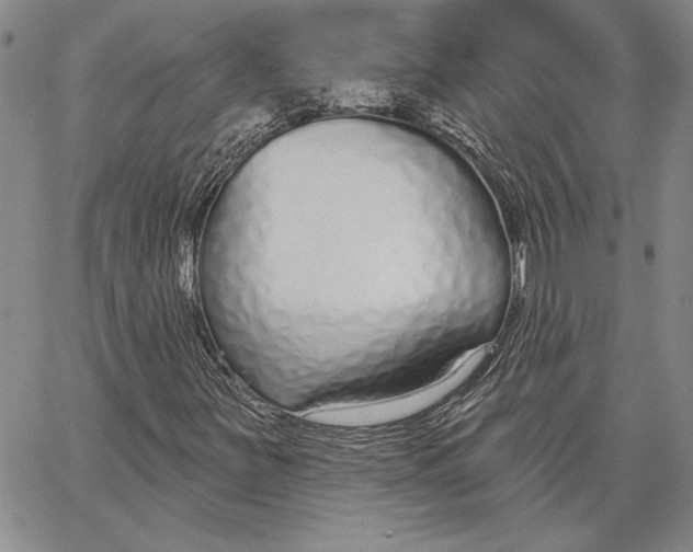 X0000062861251200602031643