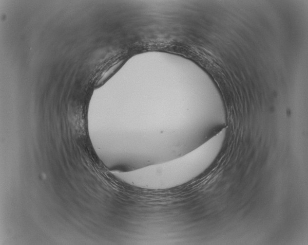X0000062861252200602031643
