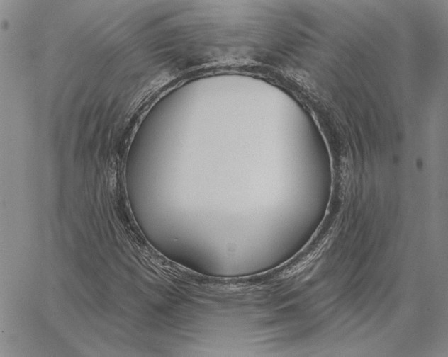 X0000062861257200602031643
