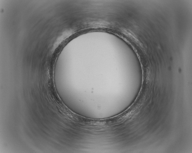 X0000062861261200602031643