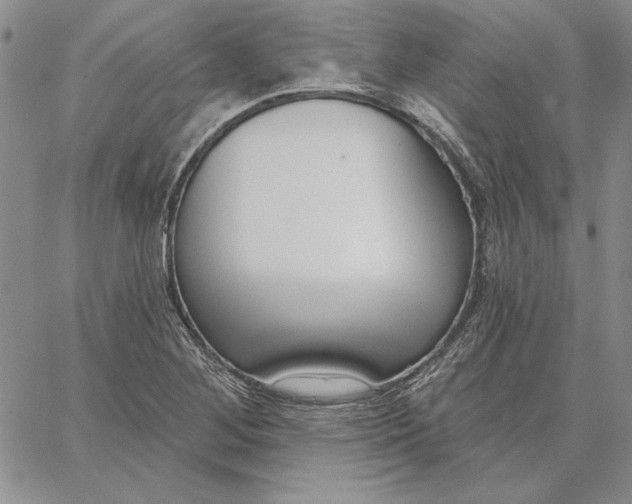 X0000062861268200602031643