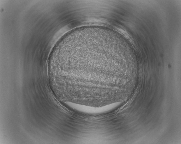 X0000062861275200602031643
