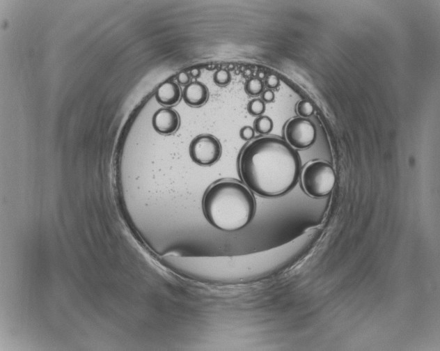 X0000062861285200602031642