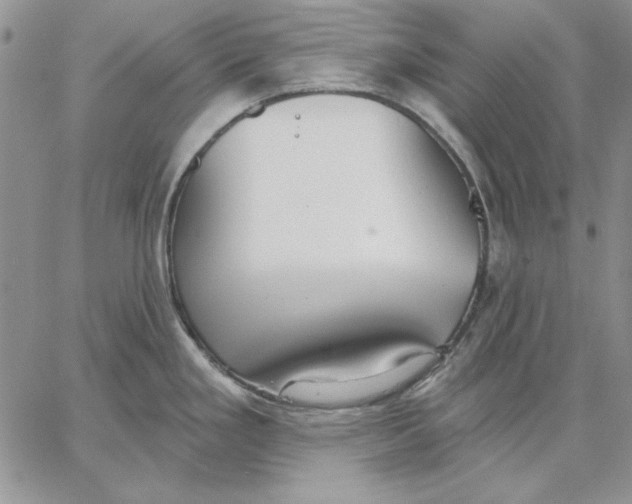 X0000062861293200602031642