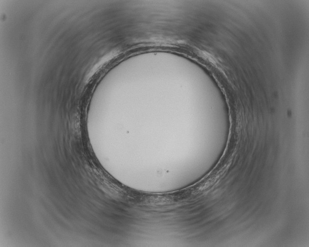 X0000062861307200602031642