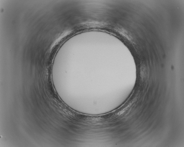 X0000062861309200602031642