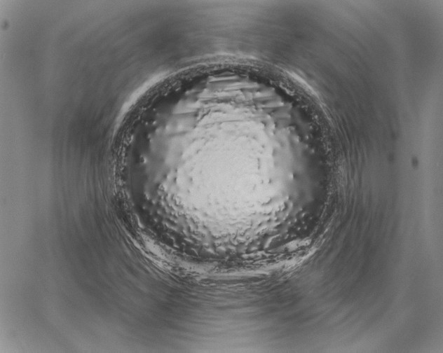 X0000062861310200602031642
