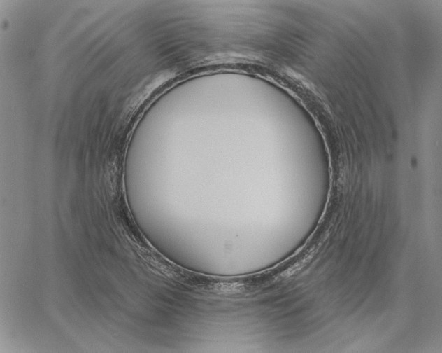 X0000062861313200602031642