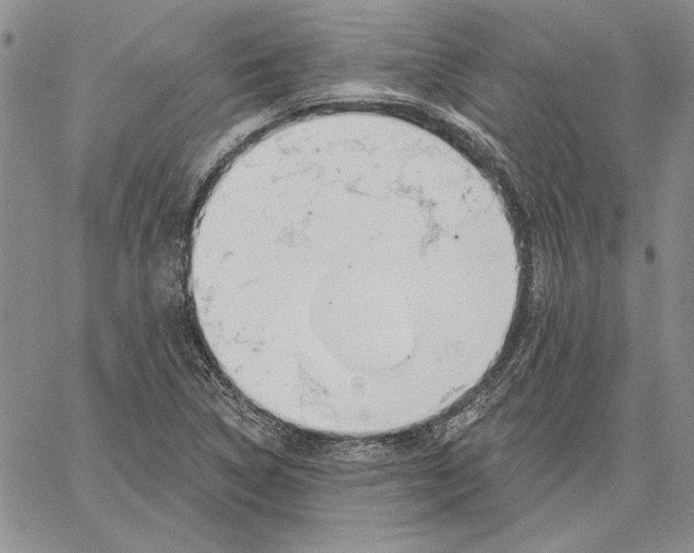 X0000062861314200602031642