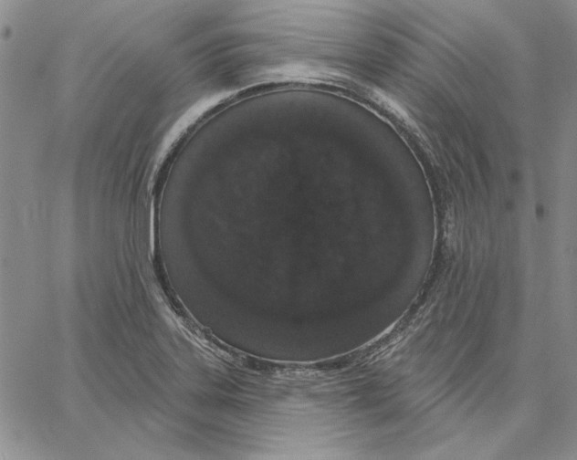 X0000062861323200602031642