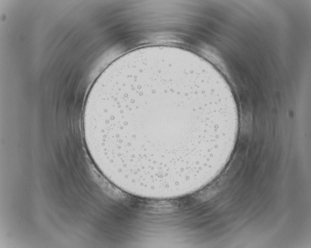 X0000062861338200602031642