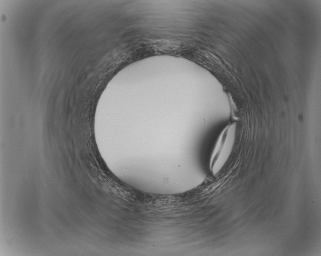 X0000062861345200602031642