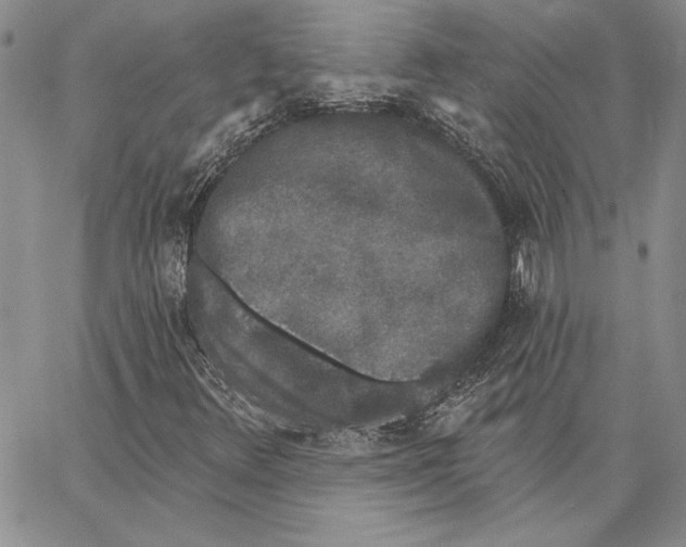 X0000062861348200602031641