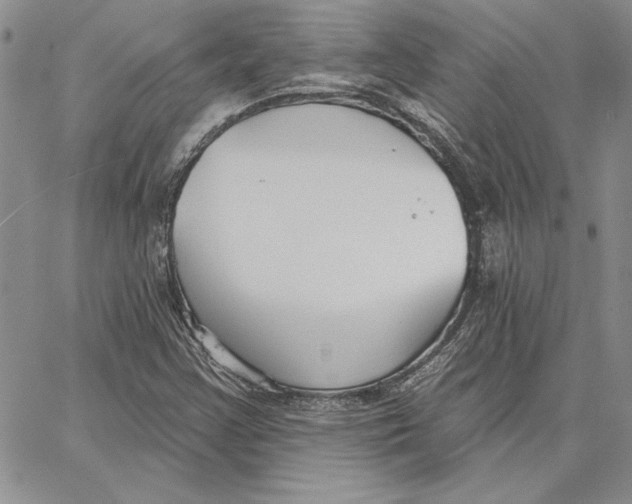 X0000062861355200602031641